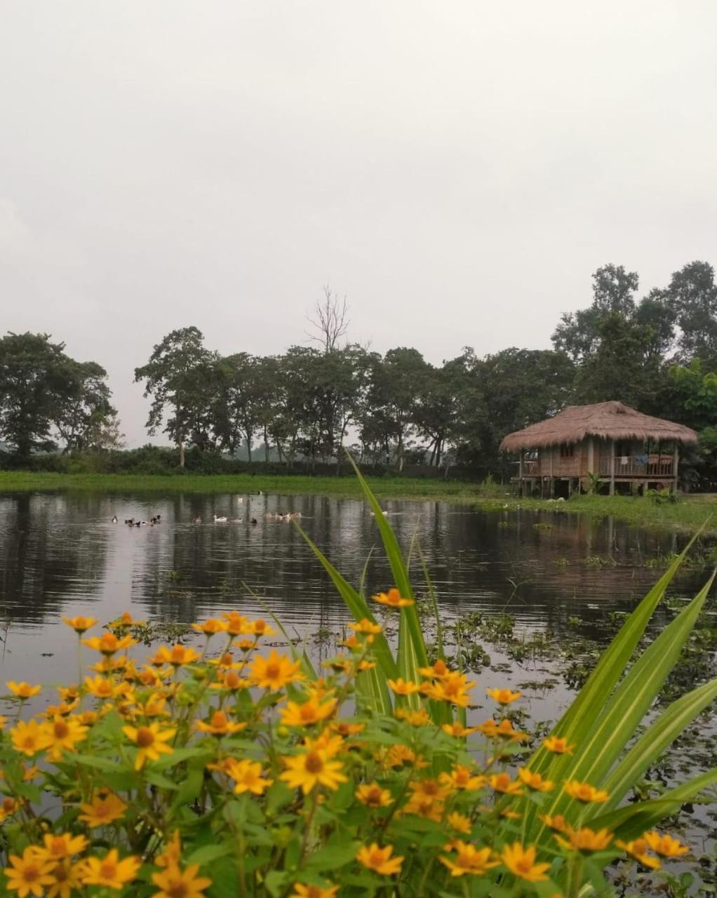 Bamungaon Yagdrasill Bamboo Cottage المظهر الخارجي الصورة